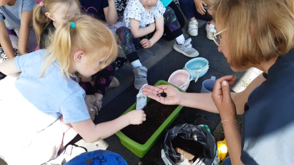 Wychowawca pokazuje dzieciom nasionka szczypiorku