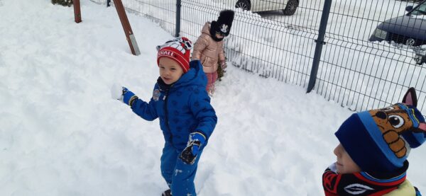 Misie bawią się na śniegu