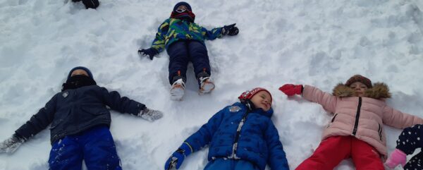 Misie bawią się na śniegu