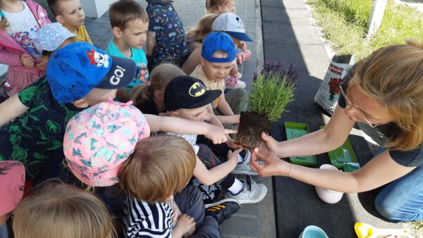 Dzieci poznają z bliska budowę roślin