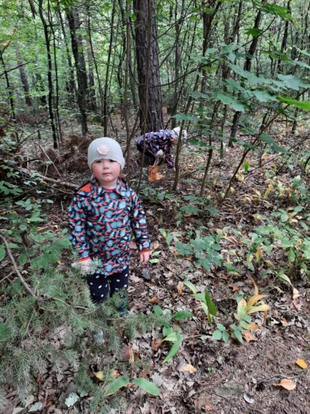 Dzieci sprzątają las