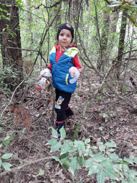 Marcelek sprząta las