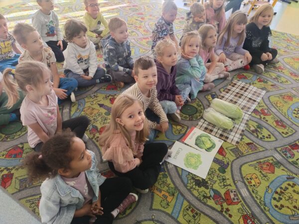 Misie poznają nazwę kapusty w języku angielskim, określają jej kolor i kształt