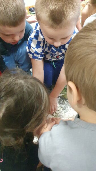 Zajęcia sensoryczne