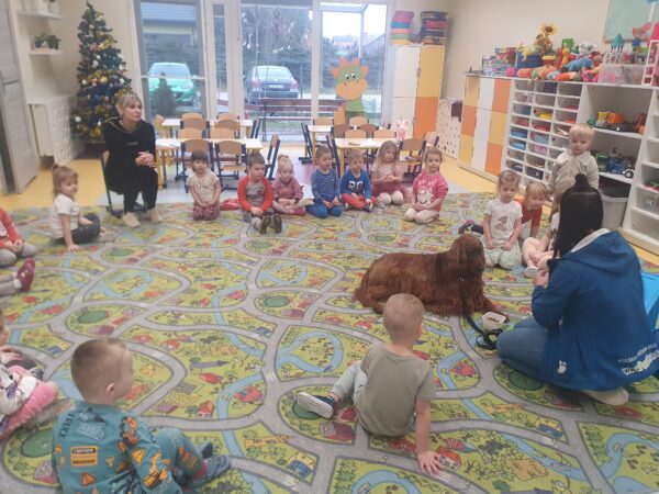 Zajęcia z dogoterapii.