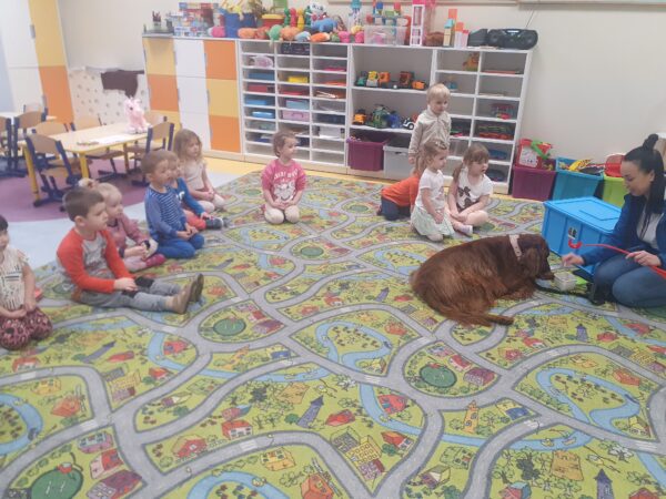 Zajęcia z dogoterapii.