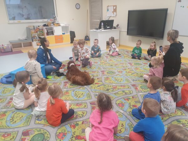 Zajęcia z dogoterapii.