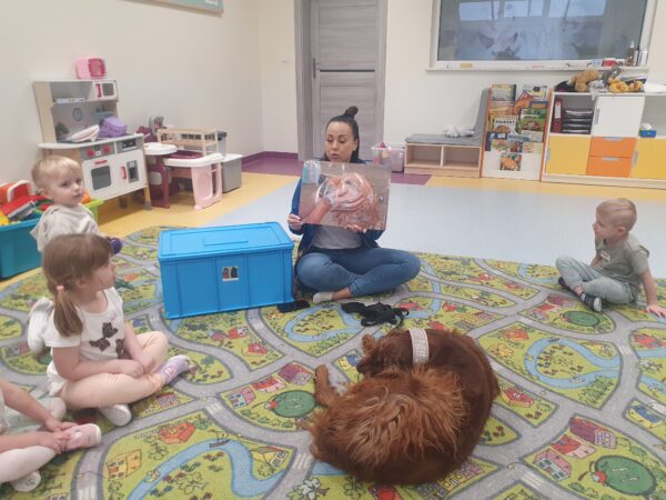 Zajęcia z dogoterapii.