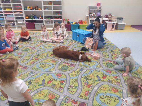 Zajęcia z dogoterapii.