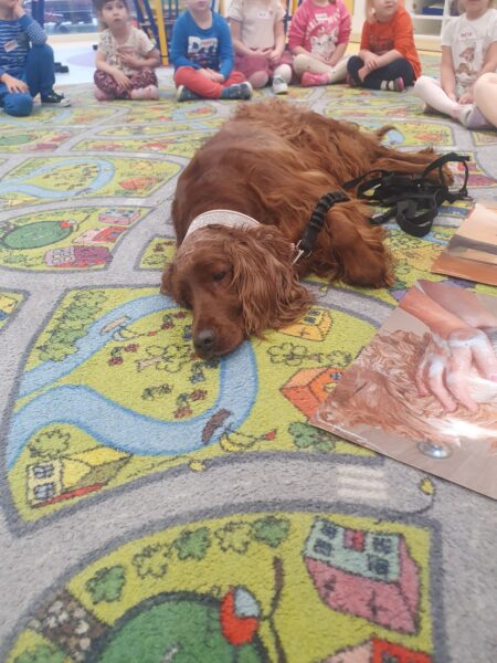 Zajęcia z dogoterapii.