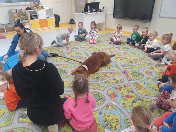 Zajęcia z dogoterapii.