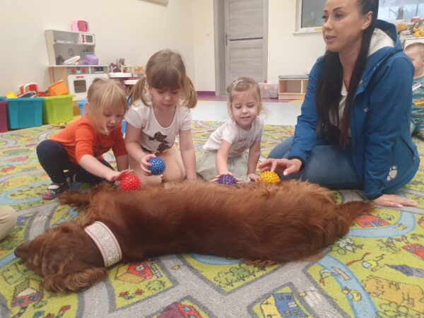 Zajęcia z dogoterapii.