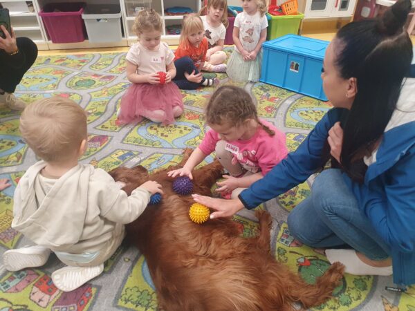 Zajęcia z dogoterapii.