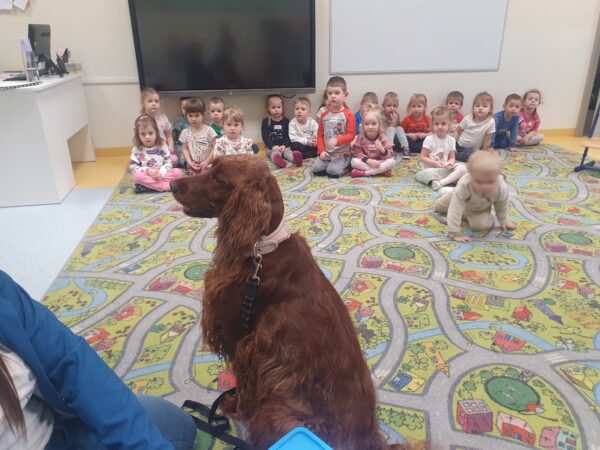 Zajęcia z dogoterapii.