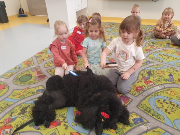 Karolinka, Maja i Julka