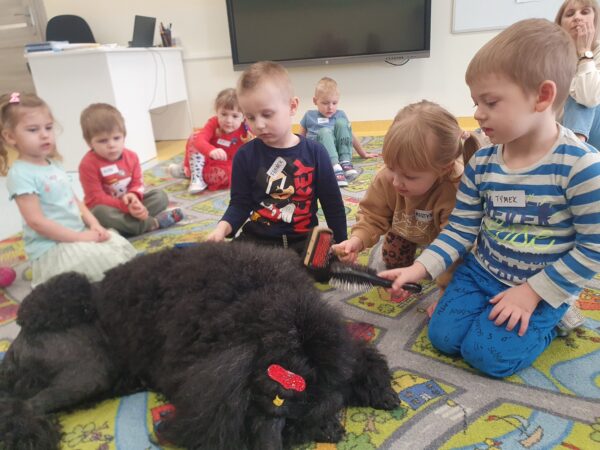 Franio, Martynka i Tymuś