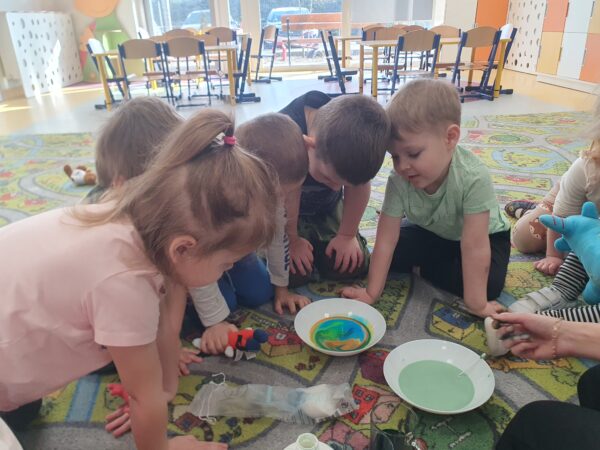 Motylki bawią się kolorami