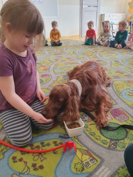 Dogoterapia w Motylkach.