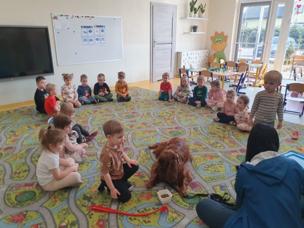 Dogoterapia w Motylkach.