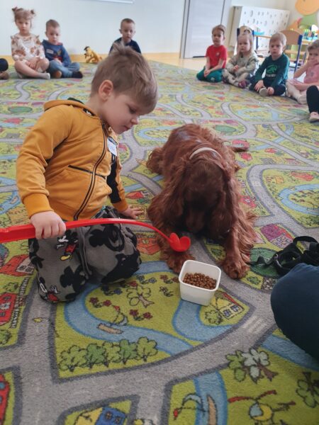 Dogoterapia w Motylkach.