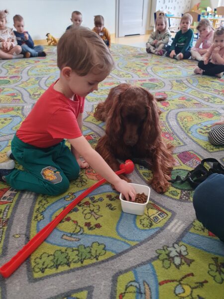 Dogoterapia w Motylkach.