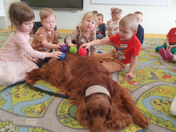 Dogoterapia w Motylkach.