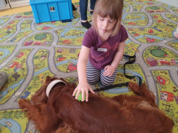 Dogoterapia w Motylkach.