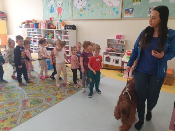 Dogoterapia w Motylkach.