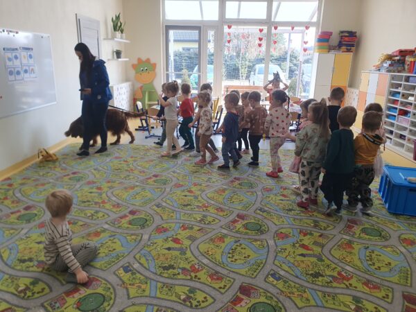 Dogoterapia w Motylkach.