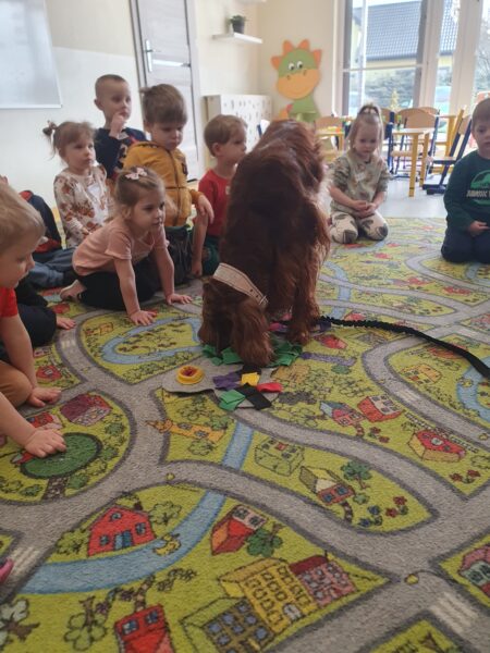 Dogoterapia w Motylkach.