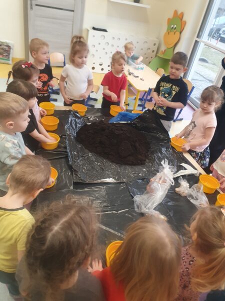 Motylki zakładają ogródek.