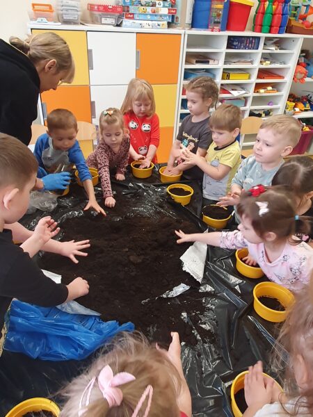 Motylki zakładają ogródek.