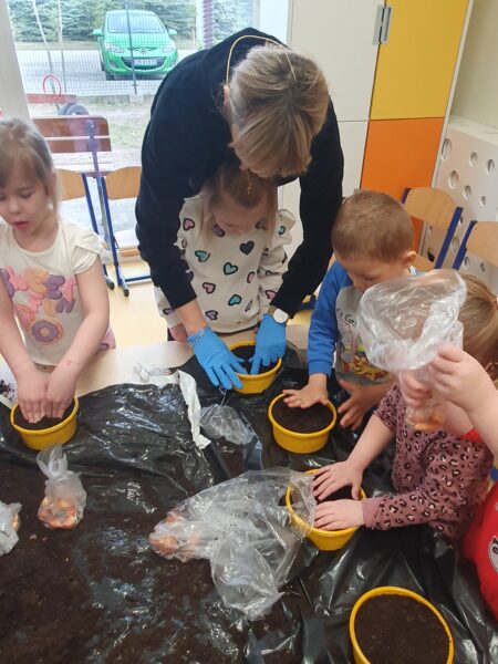 Motylki zakładają ogródek.