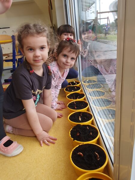 Motylki zakładają ogródek.