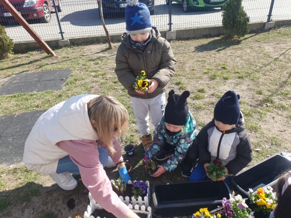 Motylki zakładają ogródek.