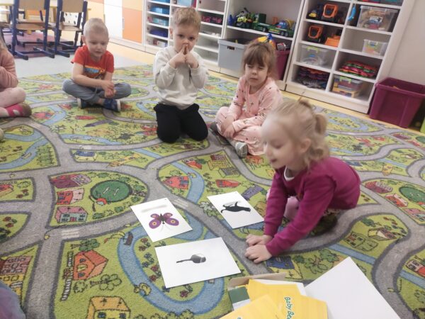 Motylki próbują rozpoznać kolejne zwierzątko lub przedmiot ukryty w kopercie