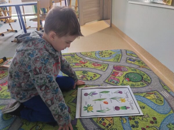 Franek odszukuje nazwę szafirka w języku angielskim