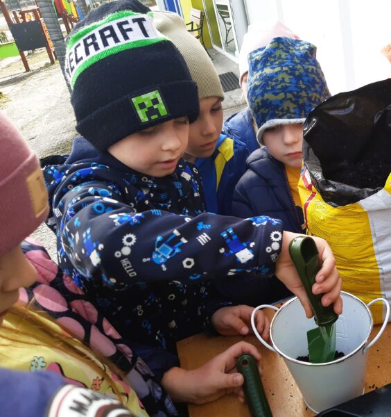 Misie sadzą wiosenne odmiany roślin.