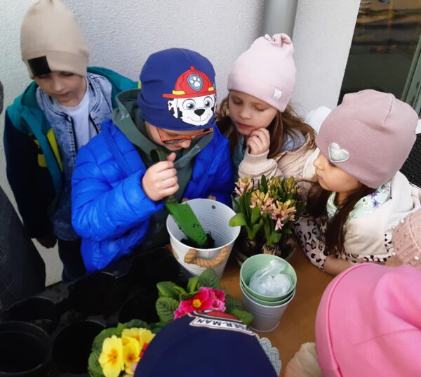 Misie sadzą wiosenne odmiany roślin.