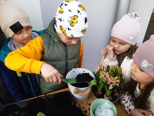 Misie sadzą wiosenne odmiany roślin.