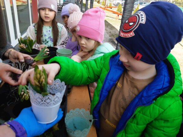Misie sadzą wiosenne odmiany roślin.