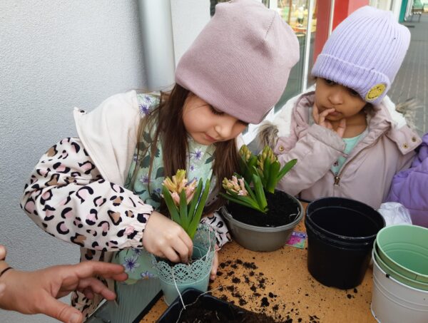 Misie sadzą wiosenne odmiany roślin.