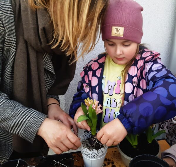 Misie sadzą wiosenne odmiany roślin.