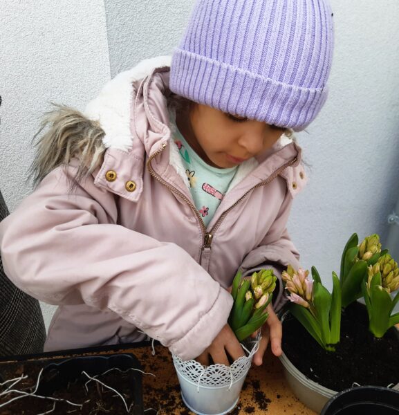 Misie sadzą wiosenne odmiany roślin.