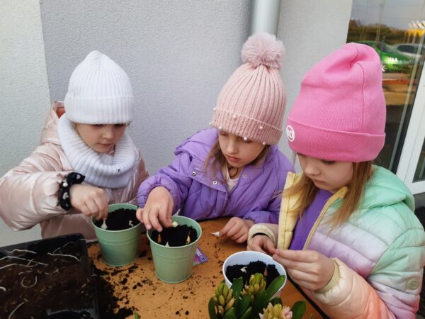 Misie sadzą wiosenne odmiany roślin.