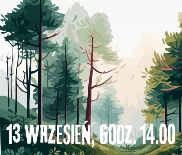 Sprzątanie Lasu
