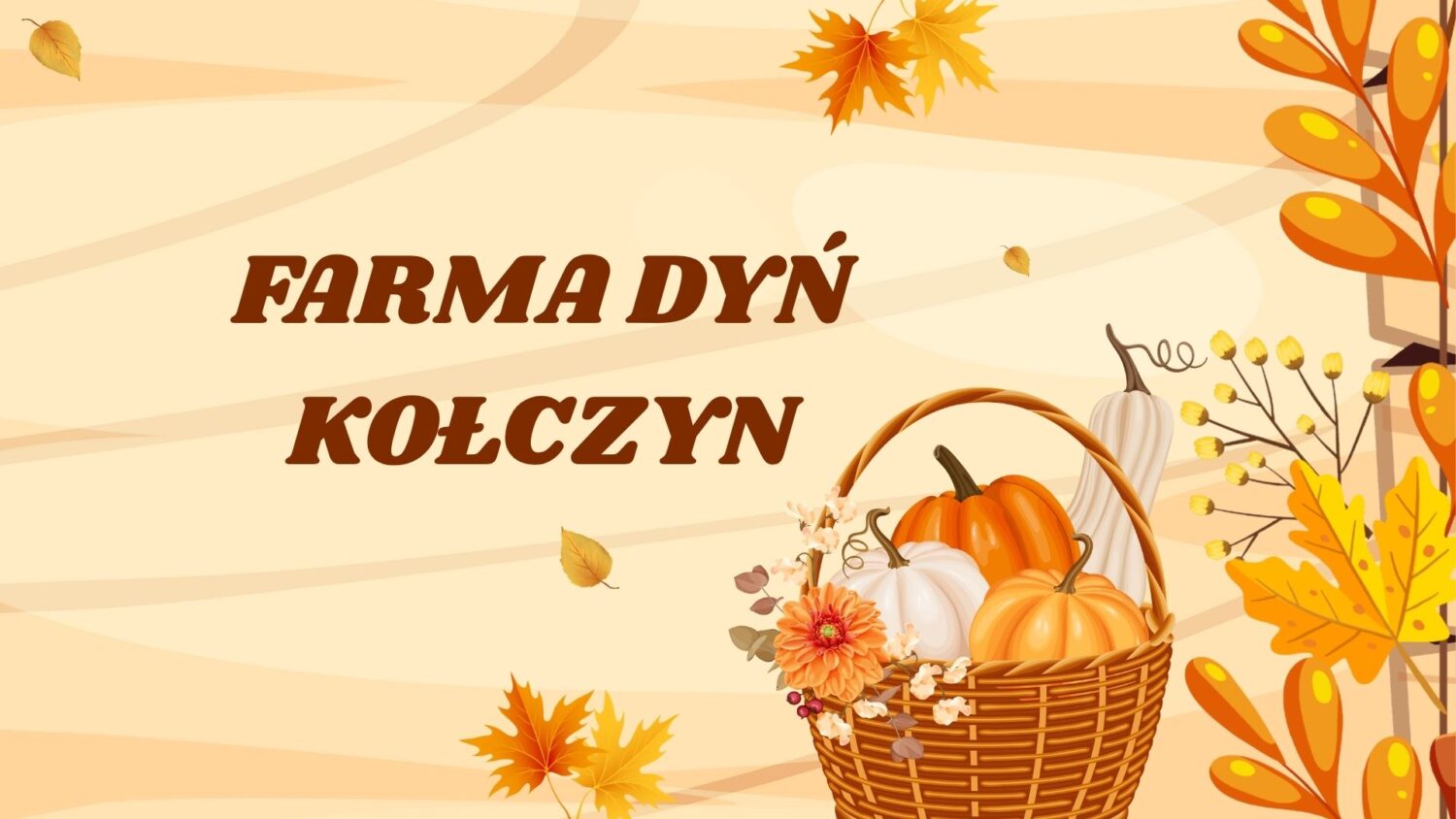 Farma dyń
