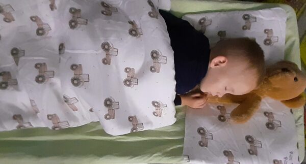 Miś w czasie popołudniowej relaksacji.