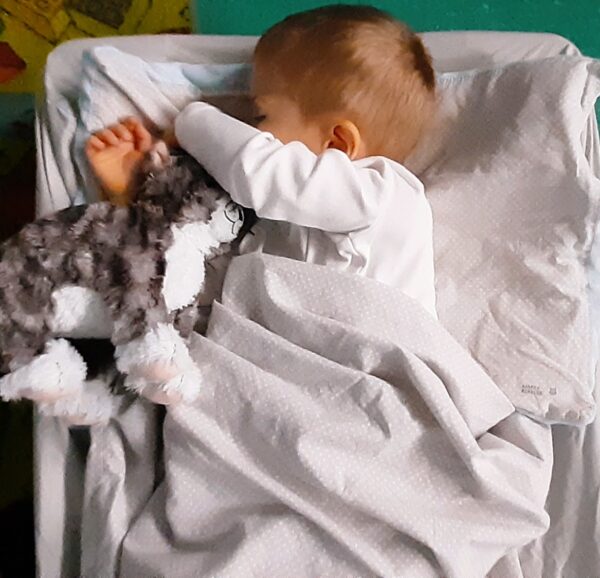 Miś w czasie popołudniowej relaksacji.