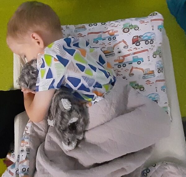 Miś w czasie popołudniowej relaksacji.